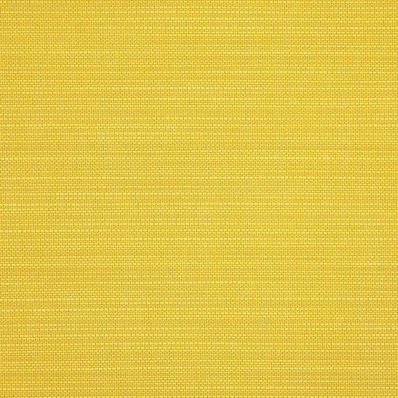 Sunbrella Echo Citron OA 013